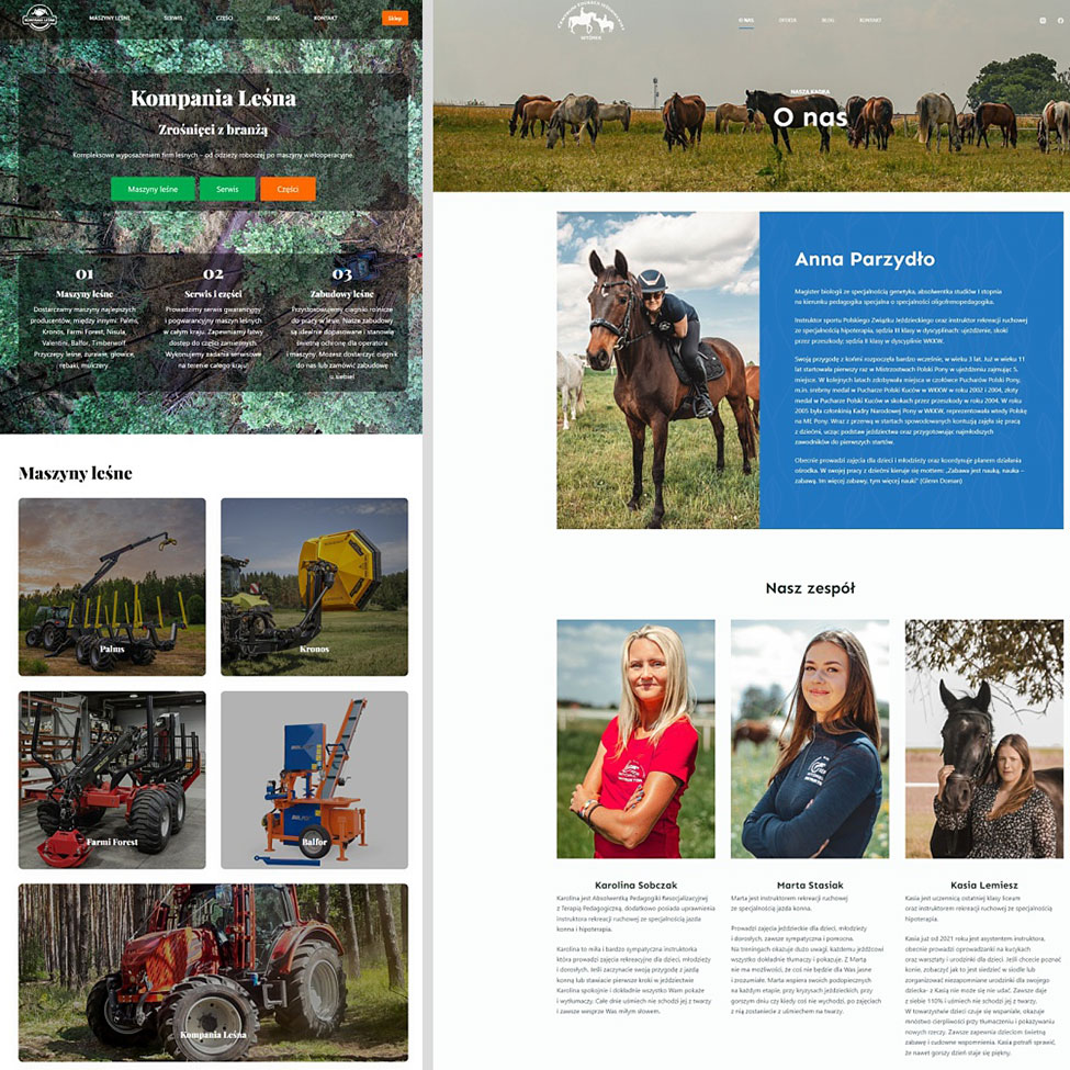 Strona internetowa - portfolio firmy SkuCode, Ostrów Wielkopolski